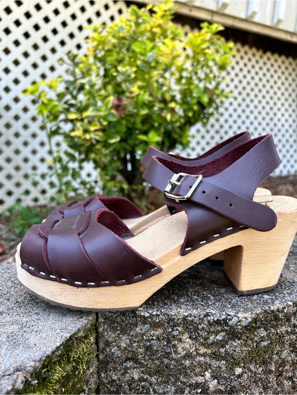 Lotta From Stockholm Deep Brown/plum Leather Clog Sandals with Buckle